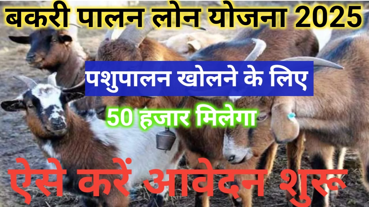Bakri palan Loan Yojana
