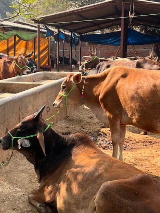 Bihar Gavya Prashikshan Yojanba 2026