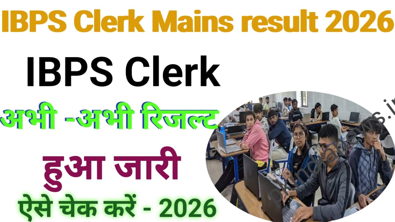 Ibps Clerk Mains Result