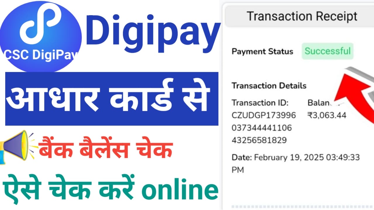 Digipay Bank Balance check | How to check Digipay bank Balance 2 Digipay bank balance check